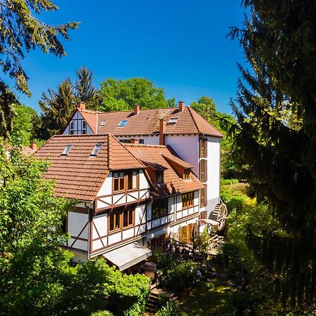 Einliegerwohnung In Einer Muehle Vor Den Toren Frankfurts, Ideal Fuer Messegaeste Oder Stop Over Dreieich Exterior foto
